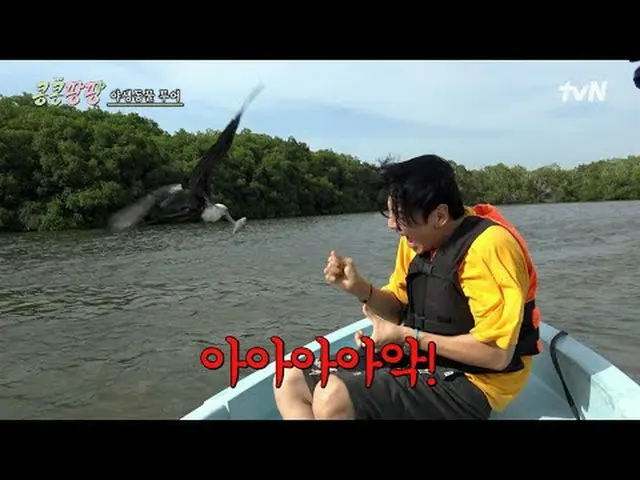 티빙에서 스트리밍 :  <br><br>#콩콩팡팡 #이광수_  #김우빈_  #도경수<br>콩콩팡팡 EP.6<br><br>찐친 삼인방 이광수_ X김