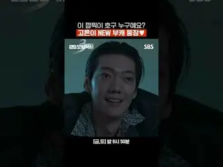 이 깜찍이 호구 누구예요? 고은이 NEW 부캐 등장♥<br>
#이제훈_  #김의성 #표예진_  #장혁진 #배유람<br>
#SBS금토드라마 #모범