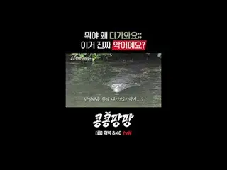 찐친 삼인방 이광수_ X김우빈_ X도경수의 <br>
순도 백퍼센트_ _  멕시코 자유여행<br>
<br>
〈콩콩팡팡〉<br>
✔ [금] 저녁 8