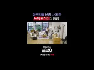 K뷰티 뉴욕 정복기 [퍼펙트 글로우]<br>
매주 [목] 밤 10:40<br>
<br>
티빙에서 스트리밍 :   <br>
<br>
#tvN #퍼