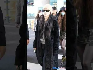 251207 올데이 프로젝트_ _  ANNIE Airport Arrival fancam by 스피넬<br>
#ALLDAYPROJECT #ADP 