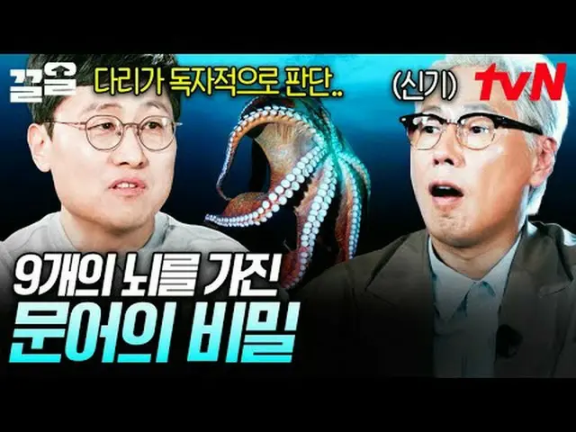 티빙에서 스트리밍 :  <br><br>#tvN #알쓸별잡:지중해 #끌올<br>tvN 레전드 예능 끌어~ 올려↗↗<br><br>#티빙에서스트리밍