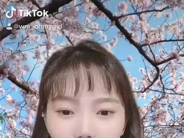 【t公式】OH MY GIRL、봄이왔어효❤️<br><br>( <br><br>#오마이걸 #OHMYGIRL #OMG #효정 <br>#TikTok #틱