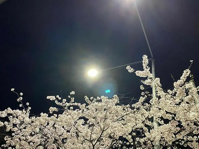 [g 공식】 BLACKPINK_ 제니 (Jennie) New post  