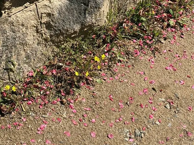 [g 공식] 배우 신세경, New post  