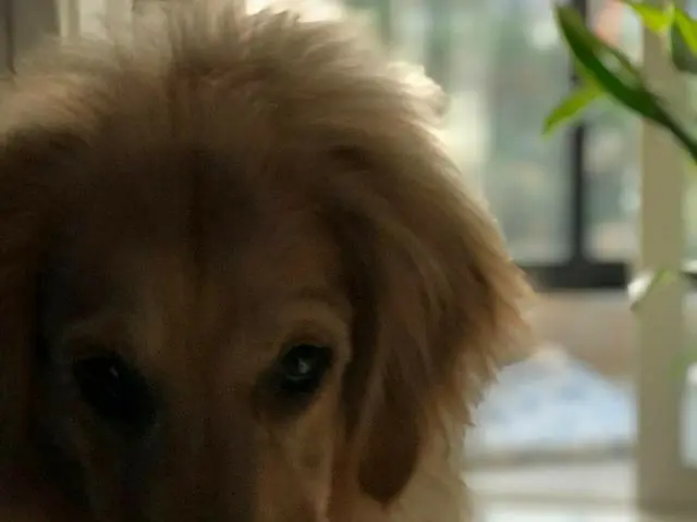【G公式】CNBLUE_ジョンシン、이 각도...어디서 봤나했다 (놀람주의)　 