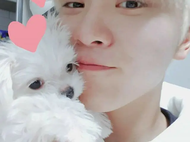 【G公式】SEVENTEEN_スングァン、제 동생 부끄입니다♡<br><br>오늘 처음 만났습니다♡<br><br>너무 사랑스럽습니다♡<br><br>#