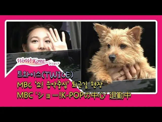TWICE 퇴근 차량에는 '놀라운 존재'가 있었다. .  ● 앞서 음악 프로그램 101 관왕 번째 1 위의 신기록을 달성했다.  ● 오늘의 음악