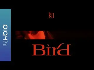 【公式】에이핑크、Kim Nam Joo (김남주) 1st Single Album [Bird] Concept Film #REBORN  