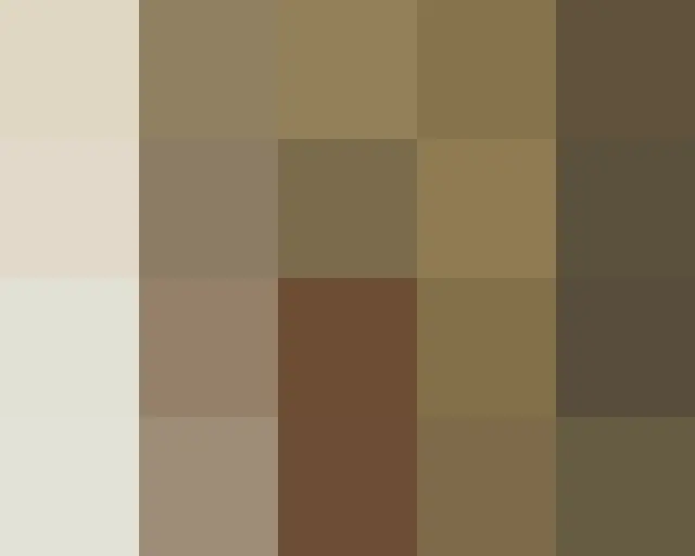 '미녀들의 수다'에서 대인기 한 _ 아키바 리에 (秋葉 리지), 둘째 자녀 임신. .