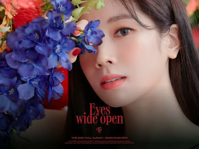 【d公式jyp】트와이스<br>THE 2ND FULL ALBUM<br>Eyes wide open - I CAN'T STOP ME<br><br>ST