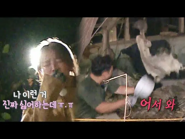 【公式sbe】 윤은혜_ ×이승윤, 병만족장이 만들어 놓은 덫에 심장 철렁!ㅣ정글의 법칙(Jungle)ㅣSBS ENTER.　 