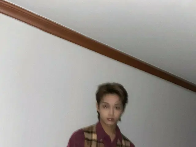 【JT公式】세븐틴、RT pledis_17: [17'S JUN] 🍃⏩🍂