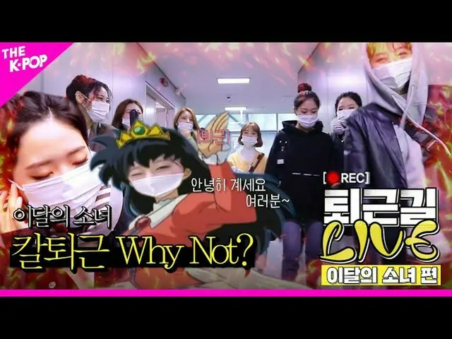 【公式sbp】 [퇴근길 LIVE] 이달의 소녀_ (LOONA_ ) 칼퇴 가능? Why Not?　 