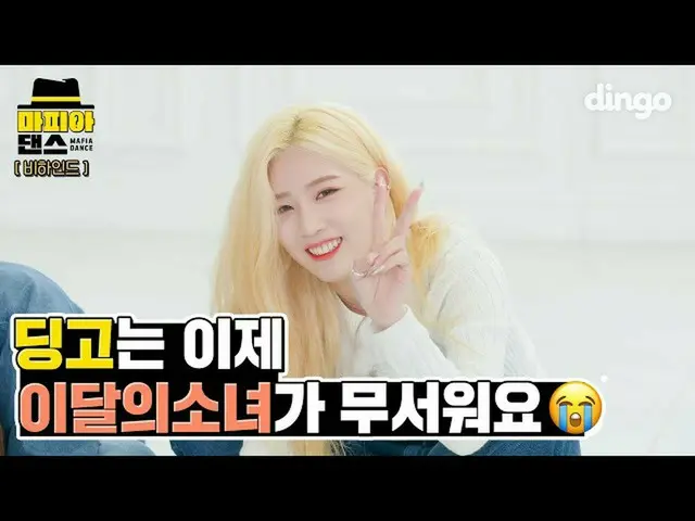 【公式din】 딩고는 이제 달소가 무서워요😭 | 이달의 소녀_  (LOONA_ ) - Why Not? | 마피아댄스 비하인드 | MAFIA D