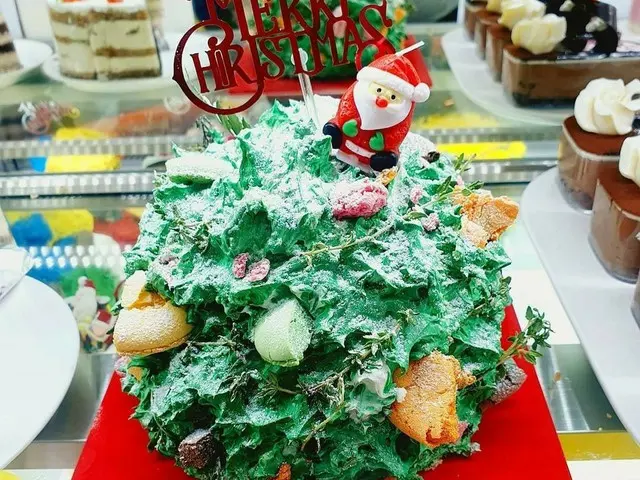 가수 솔비가 만든 크리스마스 케이크가 "참신 너무」라고 화제가되었다. .