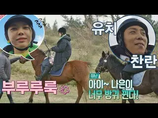 【公式jte】 콧방귀 뀌는 나은이(SON NA EUN) 말에 장난치는 장꾸 은지원_ (Eun Ji-won)=33 갬성캠핑(gamsungcampi
