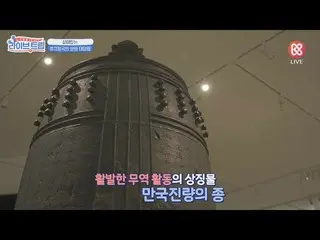 【公式mbm】역.알.못도 한 큐에 류큐시대 시간여행 가능☆ 오키나와 현립 박물관  