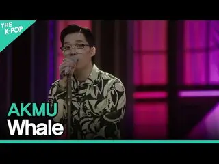 【公式sbp】 AKMU_ _ (악동뮤지션) - 고래 (Whale)ㅣ라이브 온 언플러그드(LIVE ON UNPLUGGED) AKMU_ _ 편　 