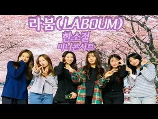 【t公式】LABOUM、[#라붐] 레이나의 건빵과 -별사탕별별신청곡 /청취자 신청곡 한소절 미니콘서트<br><br>🎤  <br><br>#LABO