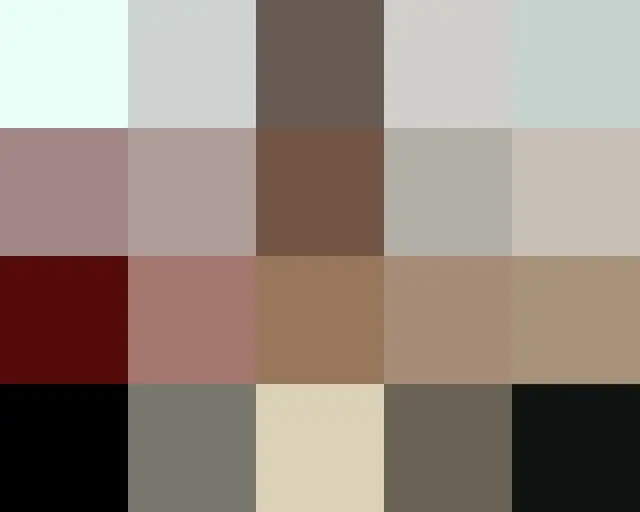 윤미래와 여성 듀오 '타샤니'로 활약 한 애니 17 년 만에 근황 공개. 최근 뇌종양 수술도. 2004 년부터 홍콩 거주. 당초 옥주현과 함께 