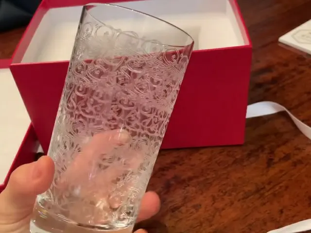 배우 신세경이 가수 IU (아이유)에서받은라는 회사 입사 기념 선물이 한국에서 화제. 바카라 글래스 약 33 만원 (약 3 만원). 신세경은 5