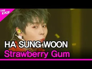 [공식 sbp] HA SUNG WOON, Strawberry Gum (Feat. Don Mills) (하 선웅 (HOTSHOT_ _) _ Str