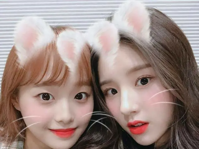 【t公式】이달의 소녀（ Loona）、[#희진 / #HeeJin] 마이츄 생일 축하행♥️💋<br><br>#이달의소녀 #LOONA