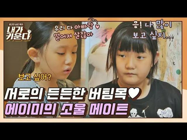 【公式jte】 [#확끌립] 고민도 함께 풀어나가는 윈윈 관계( *˘╰╯˘*) 에이미_ 의 소울 메이트✨ 〈내가 키운다(naeki)〉 | JTBC