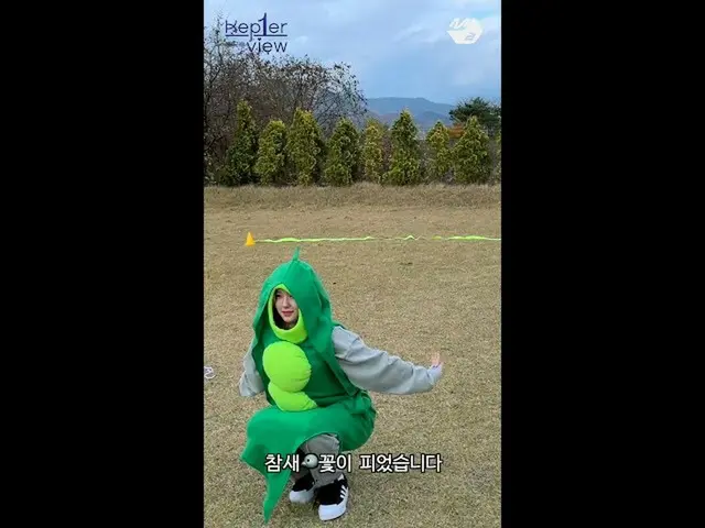【公式mn2】Kep1er 김다연 꽃이 피었습니다🌼 #Shorts　 