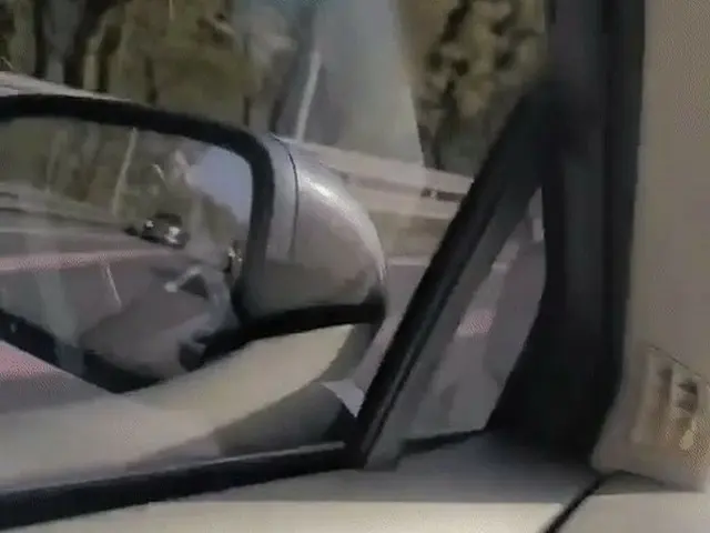 8차선(한쪽 4차선)의 한국 올림픽 대로를 활보하는 여성이 유령같다고 화제에. .