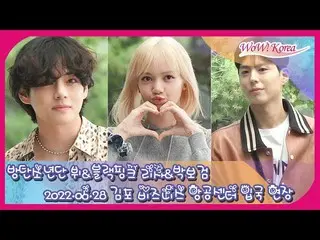 V (BTS) & LISA (BLACKPINK) & 박보검, 귀국 대기중… 라이브 전달중. .  