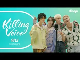 【公式din】 위너(WINNER_ _ )의 킬링보이스를 라이브로! | 딩고뮤직 | Dingo Music  