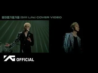 【公式】WINNER、YOON X MINO - BIGBANG '봄여름가을겨울 (Still Life)' COVER VIDEO  