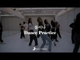 【공식】EXID, EXID – '불이나' Dance Performance Video  