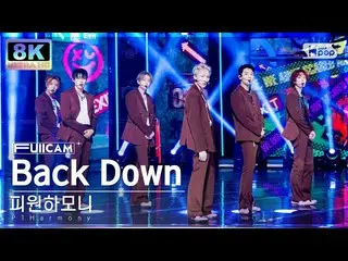 【공식 sb1】[SUPER ULTRA 8K] P1Harmony_ 'Back Down' 풀캠 (P1Harmony_ _ FullCam) SBS In