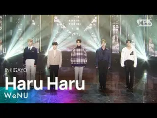 【公式sb1】WeNU(위앤유) - Haru Haru(하루하루) 인기가요_  inkigayo 20230108　 