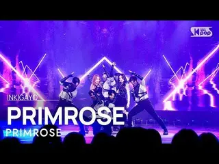 【공식 sb1】PRIMROSE_ (프림 로즈) - PRIMROSE_ 인기가요_ inkigayo 20230115  