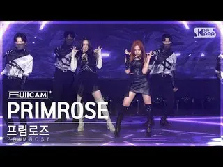 【公式sb1】[안방1열 풀캠4K] 프림로즈 'PRIMROSE_ ' (PRIMROSE_  FullCam)│@SBS Inkigayo 230115　 