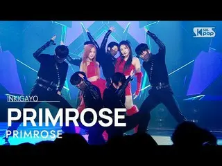 【공식 sb1】PRIMROSE_ (프림 로즈) - PRIMROSE_ 인기가요_ inkigayo 20230129  