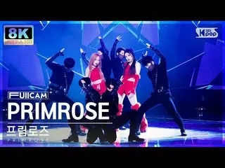 【公式sb1】[SUPER ULTRA 8K] 프림로즈 'PRIMROSE_ ' 풀캠 (PRIMROSE_  FullCam) SBS Inkigayo 2