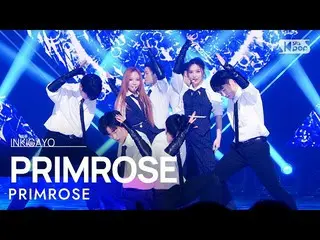 【공식 sb1】PRIMROSE_ (프림 로즈) - PRIMROSE_ 인기가요_ inkigayo 20230205  