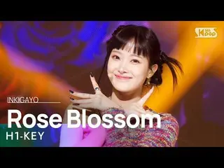 【公式sb1】하이키_ _ (하이키_ ) - Rose Blossom(건물 사이에 피어난 장미) 인기가요_  inkigayo 20230205　 