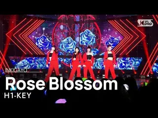 【公式sb1】하이키_ _ (하이키_ ) - Rose Blossom(건물 사이에 피어난 장미) 인기가요_  inkigayo 20230212　 