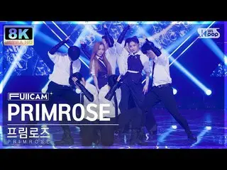 【公式sb1】[SUPER ULTRA 8K] 프림로즈 'PRIMROSE_ ' 풀캠 (PRIMROSE_  FullCam) SBS Inkigayo 2