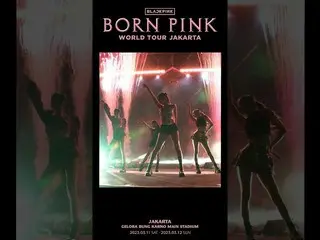 【공식】BLACKPINK, BLACKPINK WORLD TOUR [BORN PINK] JAKARTA HIGHLIGHT CLIP  