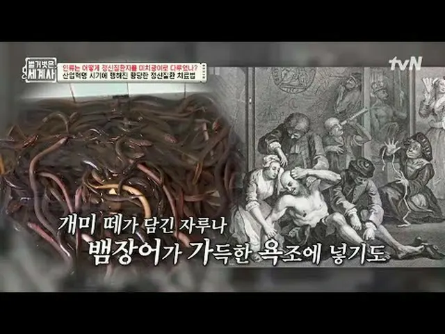 티빙에서 스트리밍 :  <br><br>〈벌거벗은 세계사〉<br>[화] 밤 10:10 tvN 방송<br><br>#벌거벗은세계사 #ウン・ジウォン（젝