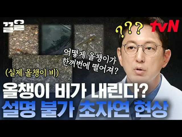 티빙에서 스트리밍 :  <br><br>#tvN #프리한19 #끌올      <br>tvN 레전드 예능 끌어~ 올려↗↗<br><br>#티빙에서스트