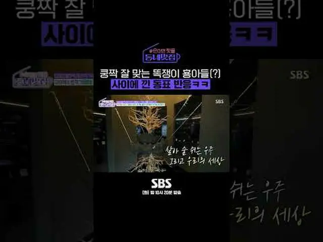 SBS '손대면 핫플! 동네 멋집'<br>☞ [화] 밤 10시 20분<br><br>#손대면핫플동네멋집 #동네멋집 <br>#오상진 #김지우ン_  
