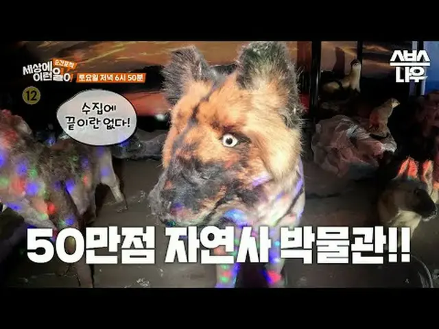 SBS '순간포착 세상에 이런일이'<br>☞ [토] 오후 6시 50분<br><br>#세상에이런일이 #신기한이야기 #예고<br><br>▶ Subs